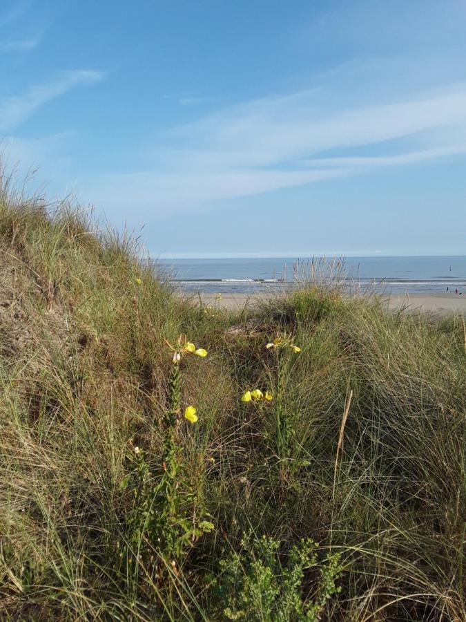 Vakantiestudio De Zeeparel De Panne met Zwembad Buitenkant foto
